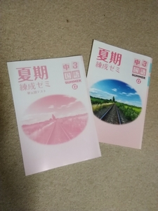 「値下げ」中学3年▼夏期錬成ゼミ&単元別テスト《問題集》国語▼解答有り