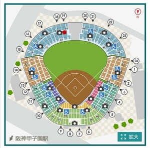 4月19日（金） 阪神甲子園球場 阪神vs中日 レフト外野指定席 1枚