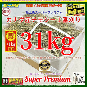 【4/7マデ限定】 カナダ産 チモシー 30+1kg スーパープレミアム （１番刈り）/最上質アルバータ州産 / お得なまとめ売り(2648円/10kg単価)