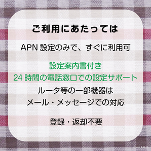 [10GB使い切り最大180日間] データ通信専用プリペイドSIM [DOCOMO回線MVMO] （規定容量使用後は通信停止） #冬狐堂の画像4