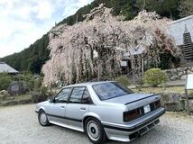 枝垂れ桜と【BOX箱市】号