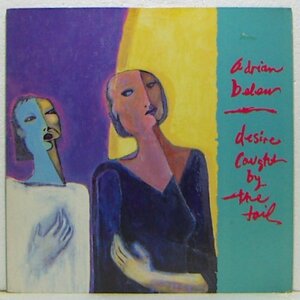 LP,ADRIAN BELEW DESIRE CAUGHT BY TAIL 輸入盤