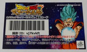 ☆即決 レア 非売品 ドラゴンボール カード 天下一武道祭 イベント 限定