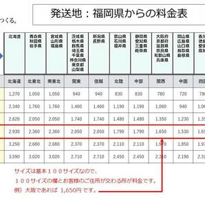 1:【お得な4匹セット】秋翠・白写り・五色・紅輝黒龍・4月20日（ 土）曜出荷限定・【同梱可能】の画像10