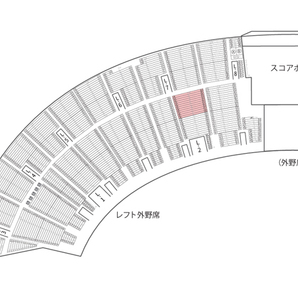 4/27(土) 甲子園球場 阪神vs東京ヤクルト レフト外野指定席 2枚連番 KIDSユニホームプレゼント&肉祭の画像4