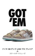 Nike SB Dunk Low Pro Big Money Savingsナイキ SB ダンク ロー プロ ビッグマネー セービングス 27.5cm_画像1