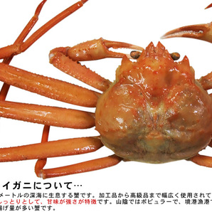 【1円～】紅ずわい蟹むき身(生)400g【お刺身用】北海道青森産・国内加工【冷凍】ベニズワイガニズワイ蟹お刺身かにカニ蟹本ガニの画像2