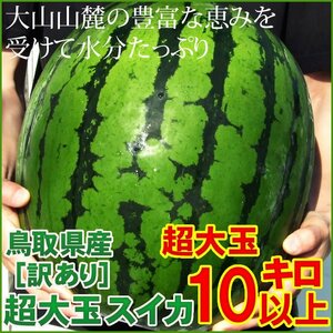 １円～☆7月上旬～予約順に出荷】河本農園の大玉スイカ【超特大サイズ】訳あり (1玉10kg以上) 鳥取産西瓜すいか【常温】河10