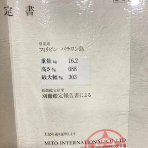 TA★1円〜保管品 鍾乳石 原産地 フィリピン パラワン島 鑑定書 鑑定報告書付き 天然石 天然記念物 自然石 鑑賞石 インテリア オブジェの画像8