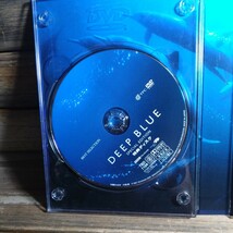 3 ディープ・ブルー スペシャルエディション 2枚組 DVD 映画_画像4