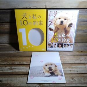 2 犬と私の10の約束 DVD 邦画 映画 田中麗奈