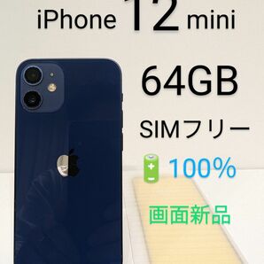 ☆美品☆iPhone 12 mini 64GB バッテリー100％