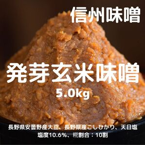 信州味噌 発芽玄米味噌 5.0kg 無添加 天然醸造 木桶仕込み 天日塩