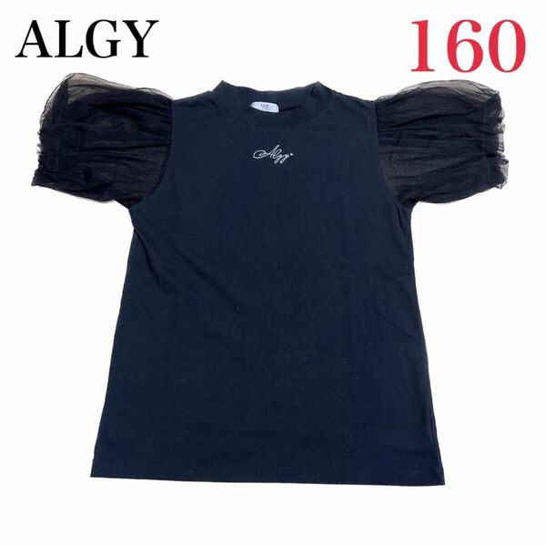 【ALGY】アルジー 半袖シャツ 160cm