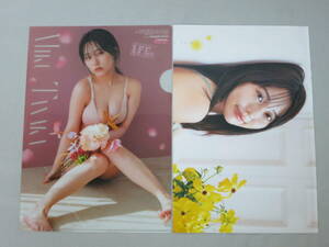 Miki Tanaka HKT48 CLEAR FILE PINUP YOUN Чемпион № 10 Количество приложений 4