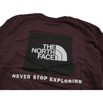 【新品本物 USA購入】THE NORTH FACE ノースフェイス■ BOX NSE SS TEE ■ Rブラウン / M ■Tシャツ ボックスロゴ 海外限定_画像4