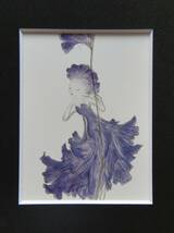 天野喜孝「妖精シリーズ2009　VIOLET」　 希少画集・額装画、日本製新品額縁、状態良好、送料無料_画像4