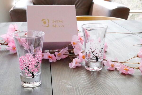 【正規品】冷感桜 グラス 丸モ高木陶器 d02-20-010p