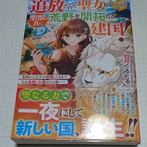 追放された聖女が聖獣と共に荒野を開拓して建国！　各国から王子が訪問してきます。なお追放した国はその後…… 如月ぐるぐる