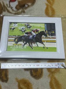 当選品　JRA 安田記念　ソングライン　パネル デイリー