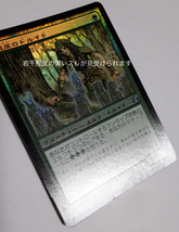 Magic:The Gathering/MOR 遺産のドルイド Heritage Druid /日1 FOIL_画像4