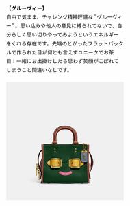 COACH ローグ ハンドバッグ コーチーズ