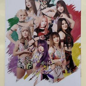 女子プロレス スターダム オフィシャルガイドブック vol.151 横浜BUNTAI 最新号 新品 STARDOM の画像2