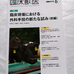 臨床獣医 2021年 6月号