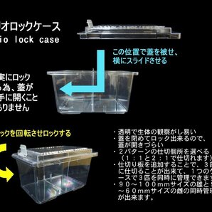 トリオロックケース １０個セット（飼育ケース）【Garage疾風】の画像3