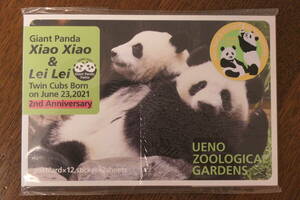  car o car o Ray Ray .. Panda postcard set seal 