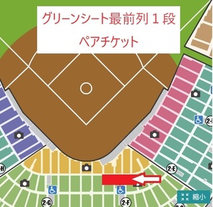 【最前列】4/17(水)阪神VS巨人 甲子園球場グリーンシートペア即発送