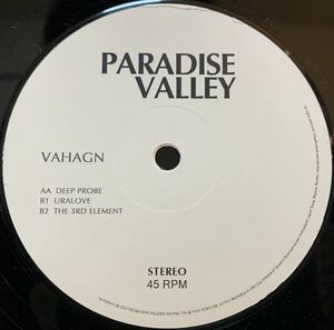 Vahagn - Deep Probe /Paradise Valley - PVL1501 / アンビエント /DJ Harvey / 