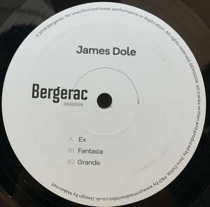 James Dole Ex / Bergerac BERG008 /Red Rack'em /Motor City Drum Ensembl /MIDLAND / HONEY SOUNDSYSTEM / Soft rocks / 