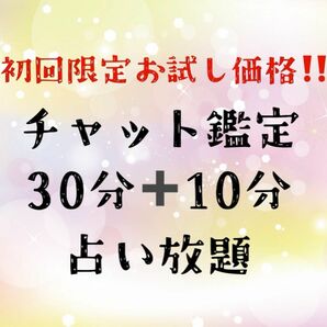 限定5名様！お試し価格 30分＋10分 チャット占い放題･タロット･オラクル･ルノルマン･恋愛･不倫･複雑恋愛･仕事･対人･復縁