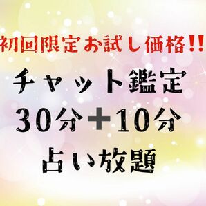 【4月26日　22時〜OK】タロット占い･チャット30分＋10分☆恋愛･複雑恋愛･相手の気持ち･不倫