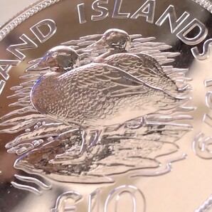 フォークランド諸島 1979 10ポンド銀貨 Conservation−Flightless steamer ducksの画像5