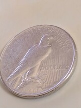 アメリカ 1924 1ドル銀貨 Peace_画像2