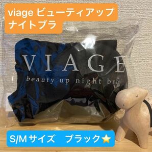 ヴィアージュ★ナイトブラ★ブラック　SMサイズ　 Viage