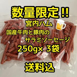 数量限定　大人気！宮内ハム　国産牛肉と豚肉のサラミソーセージ250g×3袋