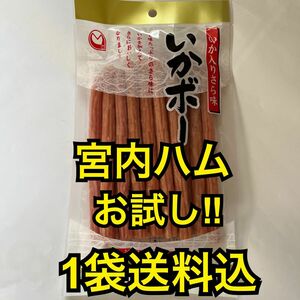 最安値　大人気！宮内ハム　お試し　いか入りサラミいかボー220g