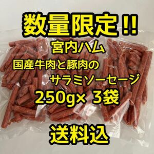 数量限定　最安値　大人気！宮内ハム　国産牛肉と豚肉のサラミソーセージ250g×3袋