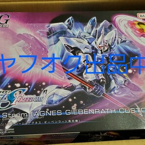 新品 ガンプラ HGCE 1/144 ギャン シュトローム アグネス・ギーベンラート専用機 機動戦士ガンダムSEED FREEDOM 月光のワルキューレの画像1