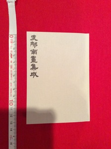 rarebookkyoto　4098　丸孫文庫　支那南畫集成　第一輯　豆本　明朝 清朝 文人画 八大山人 揚州八怪 京陵　石濤 宮廷画 藍瑛 四王呉惲 水墨