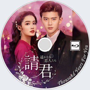 請君(せいくん)～遥かなる恋人たち～（正常字幕）『ota』中国ドラマ『みそ』アレン・レン、リー・チン　Blu-ray　