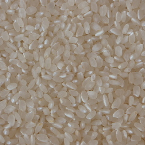 新米 令和5年 宮城県産 コシヒカリ白米25kg(袋含む) 米袋の状態で発送の画像2