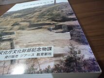 K●近代遺跡調査報告書 ー鉱山ー 文化庁文化財部記念物課　ジアース教育新社　平成14年発行_画像8