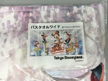 バスタオル ワイド ベリーベリーミニー 東京ディズニーランド 未開封 2404LO151_画像3