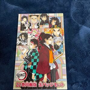 【未開封】鬼滅の刃22巻同梱版付録　缶バッジセット