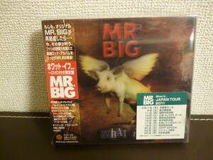 DVD付き限定版 ・ CD+DVD ・ 国内盤・ MR.BIG / WHAT IF... ・ ミスター・ビッグ / ホワット・イフ...