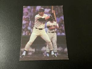 ホームランカード　カルビー79年　張本（巨人）7月第20位　プロ野球カード